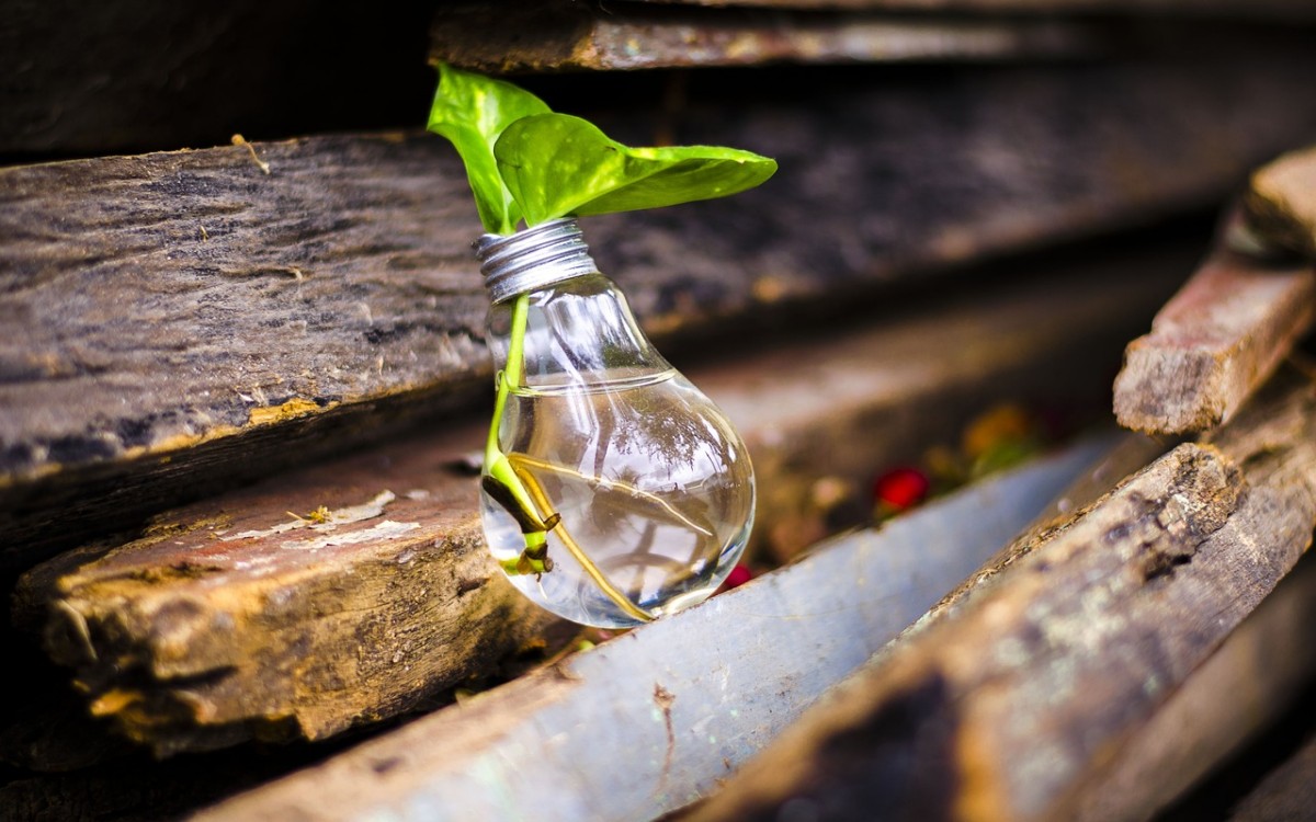 Lempučių ir baterijų perdirbimas: kaip rūpintis aplinka